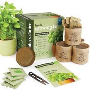 Indoor Herb Garden Starter Kit for Plant Lovers