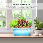 VIVOSUN Self-Watering Herb Planters, 6-Pack