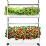 60-Pod Hydroponic Indoor Vertical Garden System