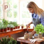 Indoor Herb Garden Starter Kit for Plant Lovers
