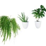 Self-Watering Wall Planters for Indoor Gardens (Set of 3)