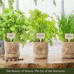 Indoor Herb Garden Starter Kit for Plant Lovers
