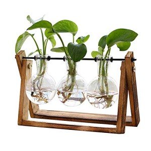 Retro 3-Bulb Plant Terrarium with Wooden Stand