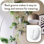 Self-Watering Wall Planters for Indoor Gardens (Set of 3)