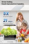 Inbloom 12-Pod Hydroponics Indoor Herb Garden Kit