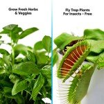 Smart Indoor Herb Garden with 8 Growing Pods