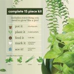 Indoor Herb Garden Starter Kit for Plant Lovers