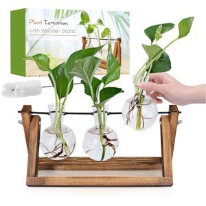 Renmxj Plant Propagation Station with Wooden Stand