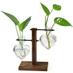 Retro Plant Terrarium with Wooden Stand - 2 Bulb Vases