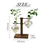 Retro Plant Terrarium with Wooden Stand - 2 Bulb Vases