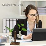 Retro Plant Terrarium with Wooden Stand - 2 Bulb Vases