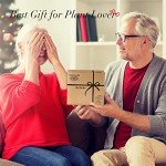 Retro Plant Terrarium with Wooden Stand - 2 Bulb Vases