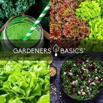 Hydroponic Seeds for Indoor and Outdoor Gardening