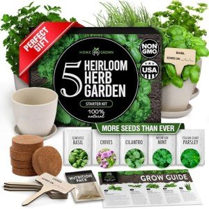 Indoor Herb Garden Kit with 5 Seed Varieties