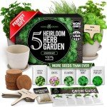 Indoor Herb Garden Kit with 5 Seed Varieties