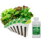 Heirloom Salad Greens Mix Seed Pod Kit