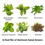 Heirloom Salad Greens Mix Seed Pod Kit