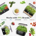 Fruit Seed Pod Kit for Indoor Gardening Systems