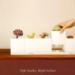 LeGrow Smart Indoor Garden Planter Kit