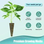 128-Piece Hydroponic Seed Pod Kit