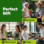 Indoor Herb Garden Kit with 5 Seed Varieties