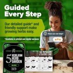 Indoor Herb Garden Kit with 5 Seed Varieties