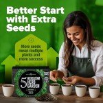Indoor Herb Garden Kit with 5 Seed Varieties