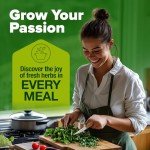 Indoor Herb Garden Kit with 5 Seed Varieties