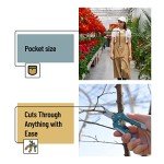 Mr. Pen 6.5-Inch Stainless Steel Gardening Scissors