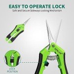 Stainless Steel Precision Pruning Shears - 6.5
