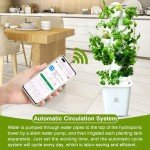 Hydroponic Growing System Kit - Indoor Smart Garden and Outdoor Garden Kit, Hydroponic Vegetable Tower,30 Pods,with Pump System and Automatic Timer, White