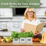 PERFNIQUE Indoor Herb Garden, Herb Garden Planter Set with Tray, Farmhouse Indoor Plant Pots, Windowsill Herb Garden with Drainage(Planter only) for Indoor/Outdoor, Window Pots(White)