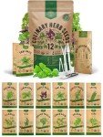 Organo Republic 12 Culinary Herbs Seeds Variety Pack - 7,355+ Heirloom, Non-GMO, Herbs Seeds for Outdoor and Indoor Home Gardening, Including Basil, Cilantro, Chives, Dill, Parsley, Sage