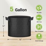 HealSmart Plant Grow Bags 5 Gallon, Tomoato Planter Pots 5-Pack with Handles, Aeration Nonwoven Fabric, Heavy Duty Gardening Planter for Vegetable, Herbs and Flowers, Black