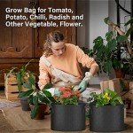 HealSmart Plant Grow Bags 5 Gallon, Tomoato Planter Pots 5-Pack with Handles, Aeration Nonwoven Fabric, Heavy Duty Gardening Planter for Vegetable, Herbs and Flowers, Black