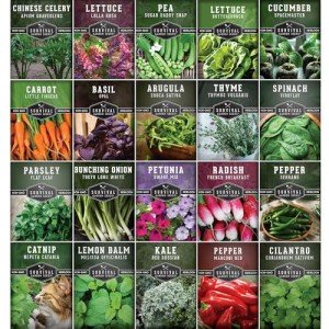 Indoor Garden Vegetables Hydroponic Apartment Garden - Non-GMO Heirloom Vegetable Varieties for Small-Space Patio Garden - Hydroponics-Friendly - Plant Indoors or Outdoors - Survival Garden Seeds