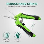 Stainless Steel Precision Pruning Shears - 6.5