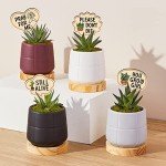 15-Pack Funny Waterproof Wooden Plant Markers