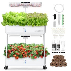 Indoor Hydroponic Garden with LED Grow Lights