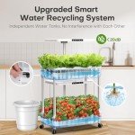 Indoor Hydroponic Garden with LED Grow Lights