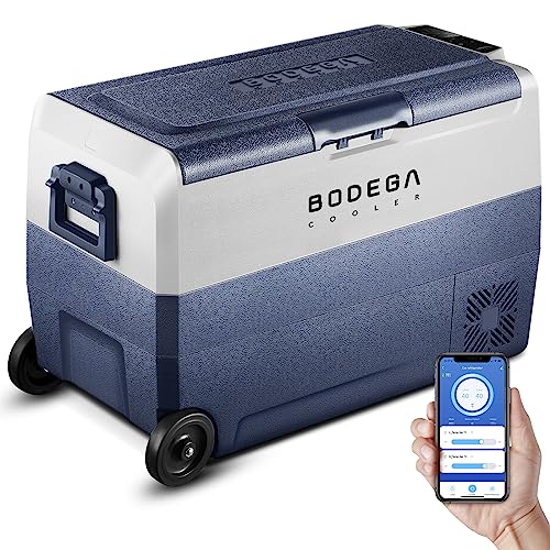Portable Dual Zone Car Fridge with WIFI Control