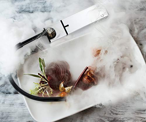 Outdoor Cocktail and Food Smoker Kit with Wood Chips