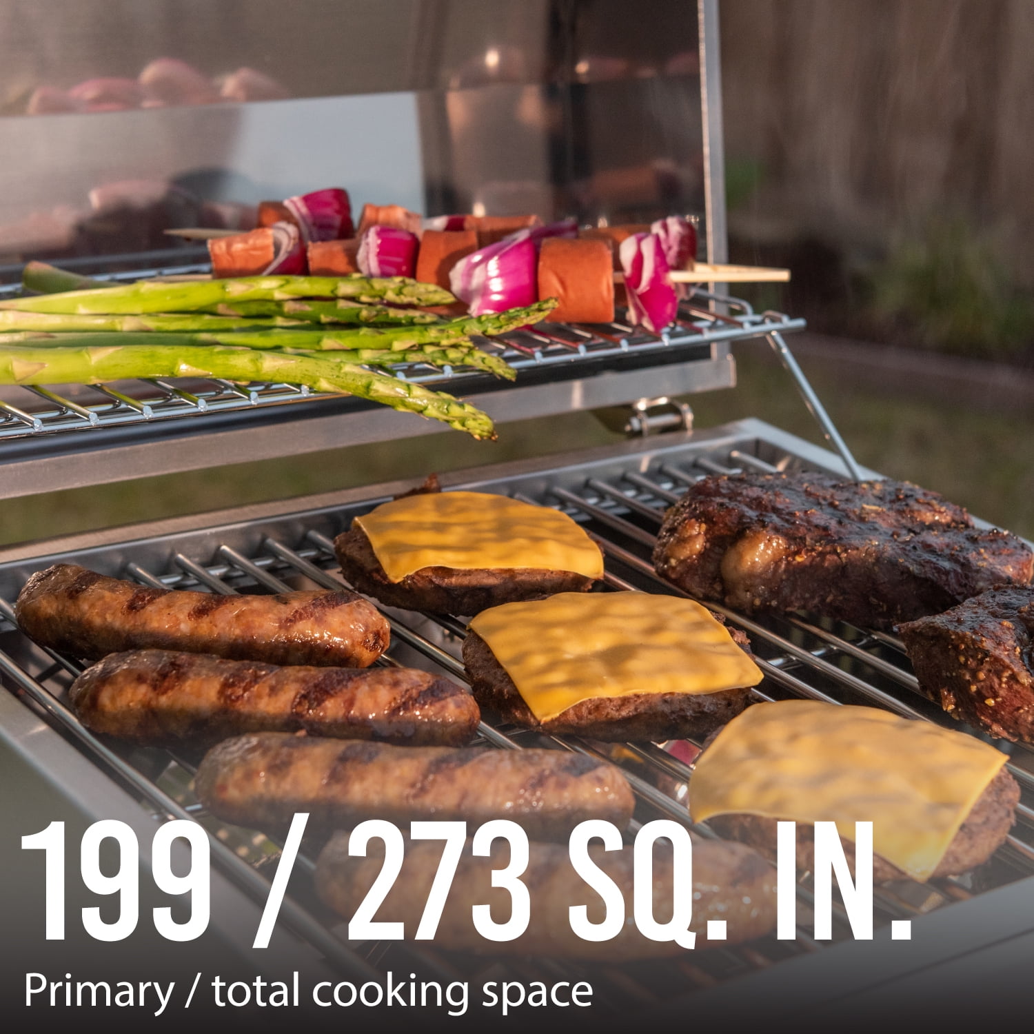 Tabletop Propane Gas Grill with 2 Burners