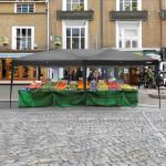 VINGLI 10x20 ft Pop Up Canopy Tent with Sidewalls
