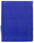 Blue 20x30 ft Camping Poly Tarp by Kotap
