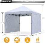 ABCCANOPY 10x10 Pop Up Canopy Tent with Sidewalls