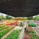 90% Shade Cloth - 12x20 FT Durable Mesh Tarp