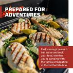 Camp Chef Explorer Portable Two-Burner Camping Stove