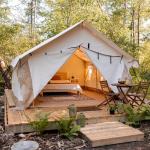 WHITEDUCK Alpha Waterproof Canvas Wall Tent 10'x12