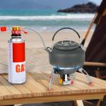 Portable Windproof Camping Stove with Carry Case
